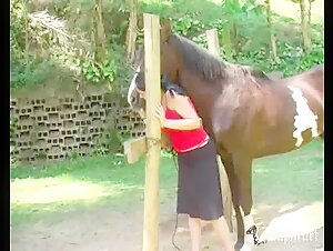 Fuck an suck a hard horse